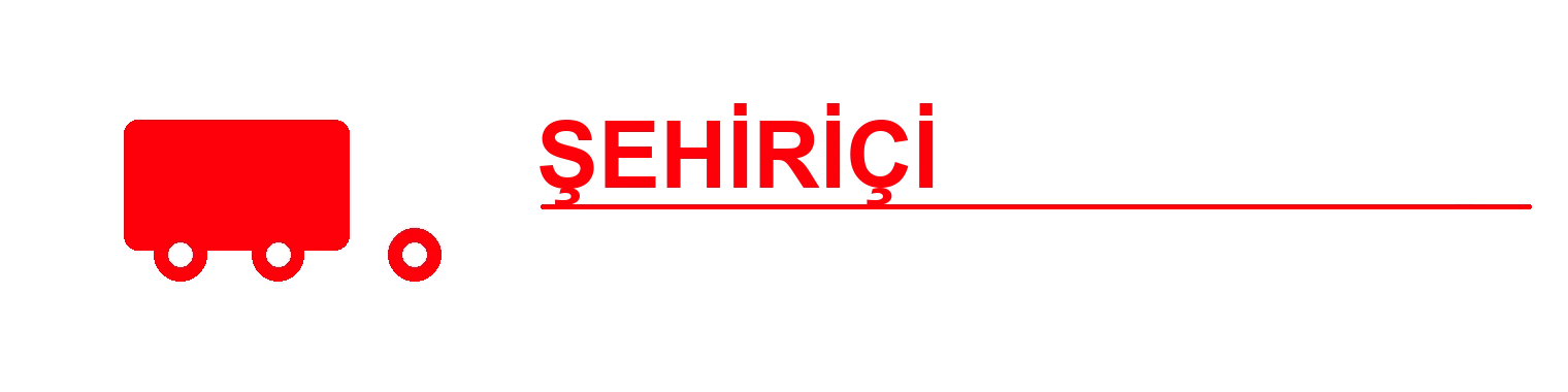 Şehiriçi Nakliyatçı açık renk logo
